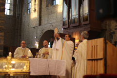 53226262182_3183a78d40_o