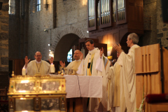 53227443643_dd52f502d1_o