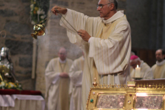 53227640750_7b73dc487c_o