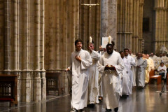 53183504272_29fb04dc2d_c