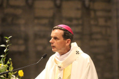 53184199796_72b6138311_c