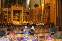 51432106517_5c9afe2a94_c