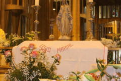 51432107287_d7c9f86cca_c