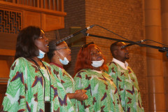 51432109342_10c56f6db1_c