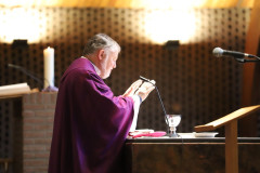 52564495337_7a292ce0cc_c