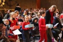 52565239119_000cace739_c