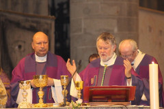 51936648249_90e4f99653_w