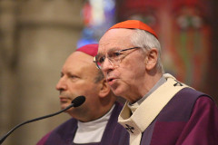 51937214816_9960d93f3e_c