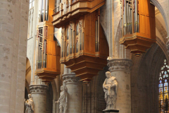 32732497387_8f84c1342e_o