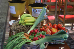 53962055092_3c940c4602_o