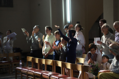 53963195438_be1a038209_o