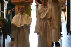 53963272619_faafa512a7_o