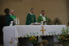 53963273309_f57ef375e7_o