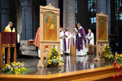 52731748734_f91ed0ed83_c