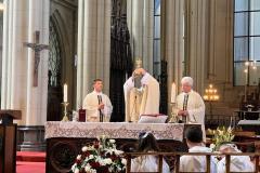 52954042622_e1c0acd832_o