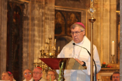 48951563727_1ea5fb68aa_c