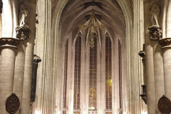 48951800121_f995bfb08b_c