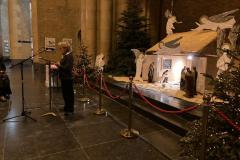 53471460138_abe120ca06_o