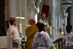 53162402492_aaed1b881e_o