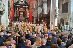 53162442157_b5e299f5e9_o