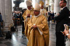 53162981721_8dba3fbccd_o