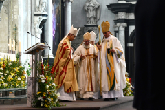 53162987991_e8873010ef_o