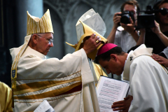 53162990001_1d603f5ab8_o