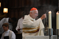 53162993931_c9aeebca35_o