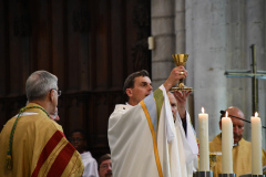 53163415775_03171de395_o