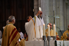 53163415895_6d40529638_o