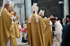 53163422535_335be2f5aa_o