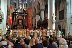 53163463045_dbee1642e1_o