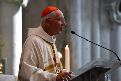 53163481173_3efda73633_o