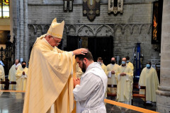 51266631502_5110d3142e_c