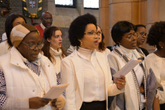 53292660248_3e0f3791fc_o