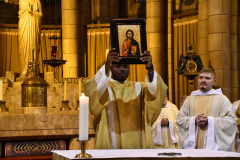 53292879215_c647079bab_o