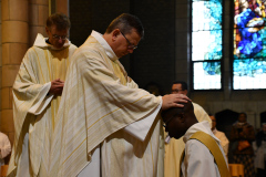 53292880695_da58291831_o