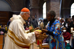 52414735496_ce059f7e5f_c