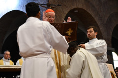 52415140865_72fcc7a65d_c