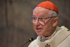 52414198567_de46d2d72d_c