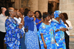 53000738179_e5cbc428e4_c