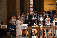 53000966030_d62d86047e_c