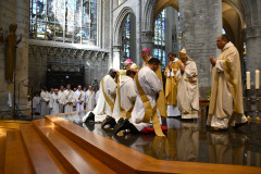 53000575671_09e0e7b9f0_c