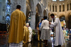 53000584386_30248cb844_c