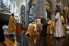 53000735689_36f6b45681_c