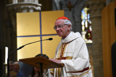 52999957592_d175490bc4_c