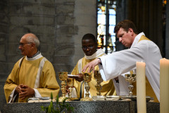 53000588451_b5e0b05d90_c