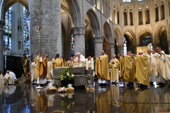 53000970565_4f0b105c57_c