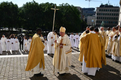 53005753811_4f17dd8a78_c