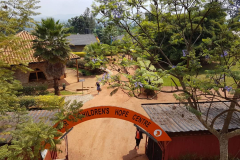 5ebe972b7acee316348985